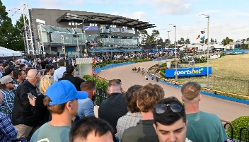 The Meadows