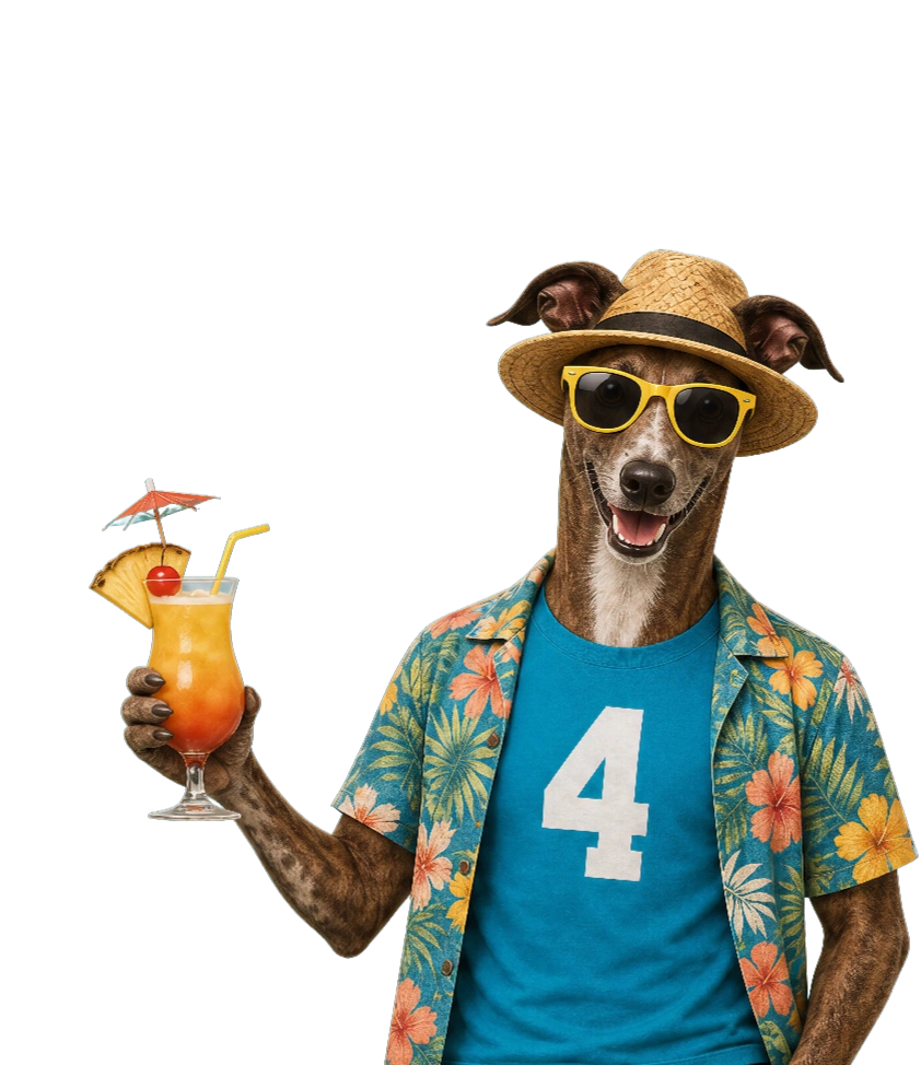 Enjoy The Race Your Way